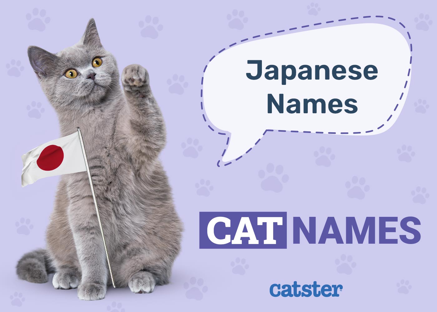 300+ Japanese Cat Names: Great Ideas for Your Exotic Cat