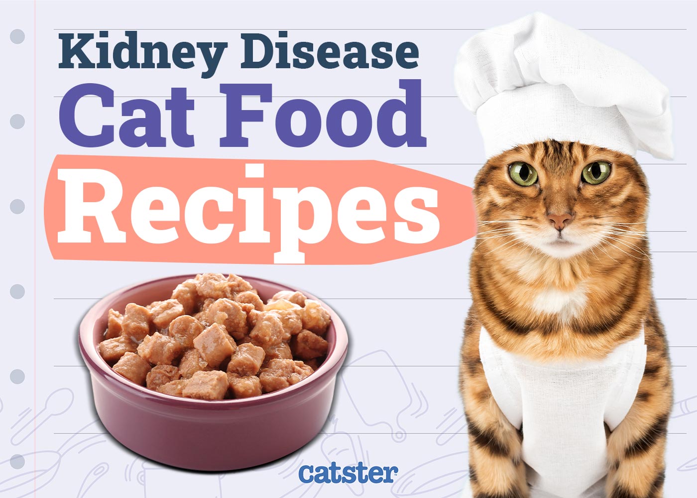 5 Homemade Cat Food Recipes for Cats with Kidney Disease