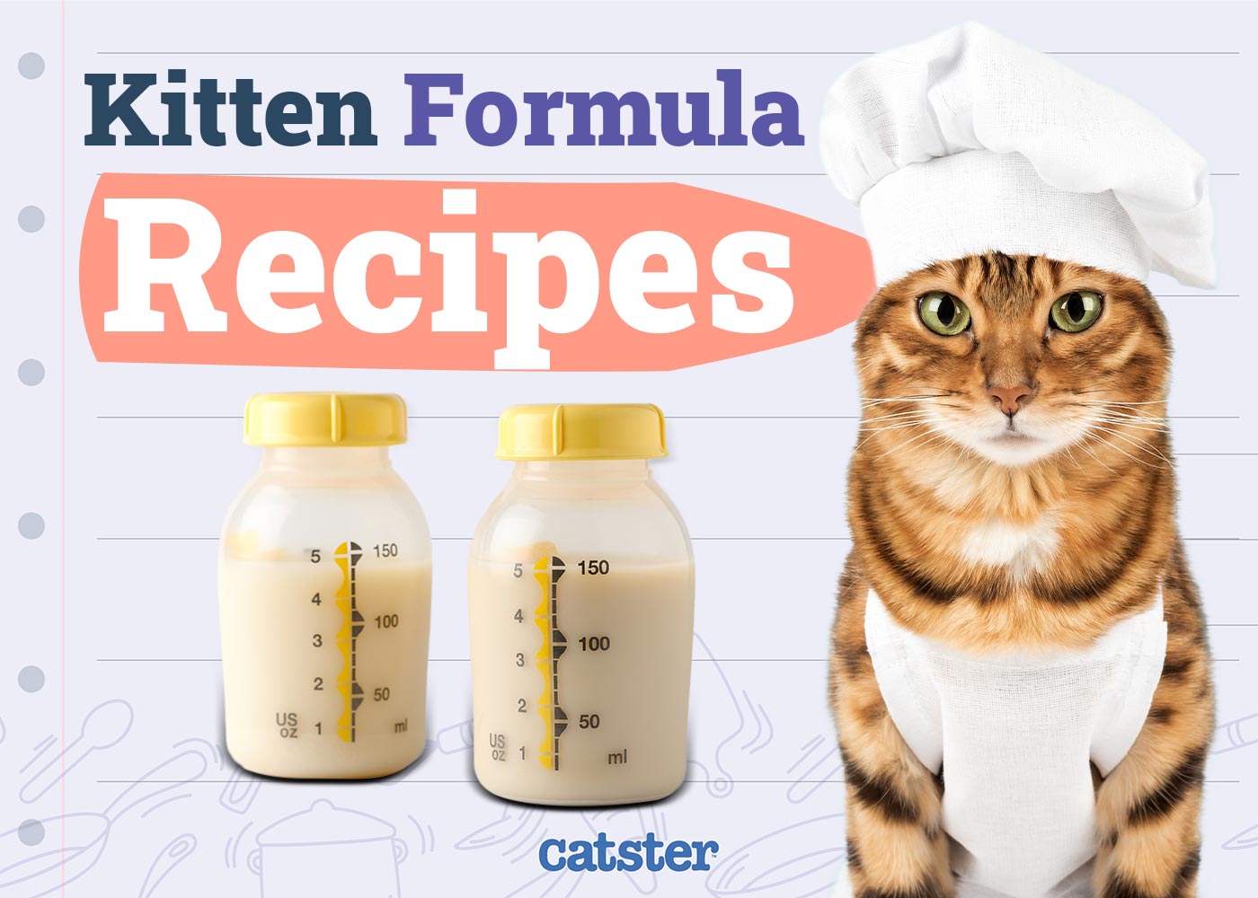4 Easy Recipes for Homemade Kitten Formula: Our Vet Answers & Provides Tips