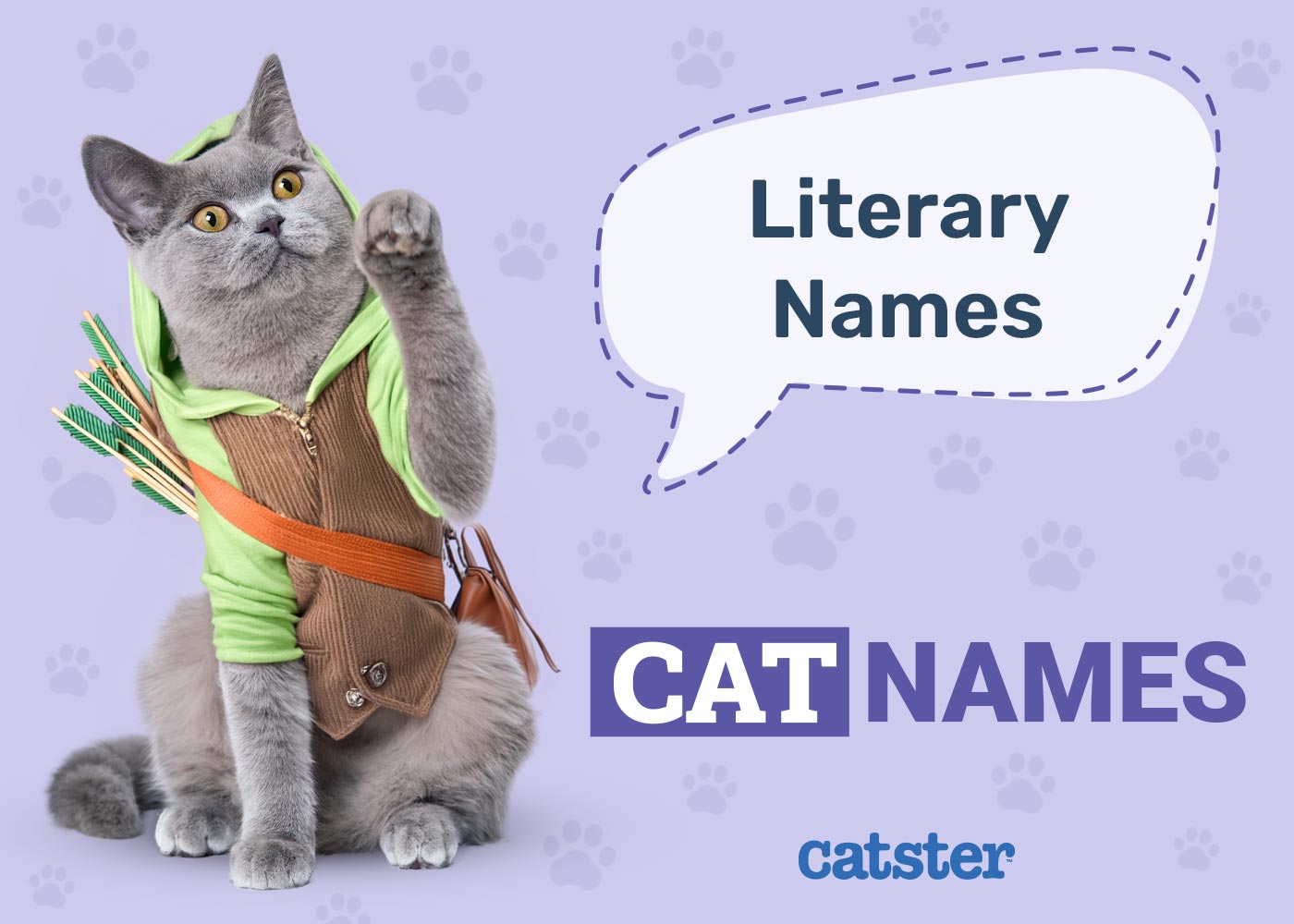 240+ Literary Cat Names: Great Ideas for Your Storied Cat