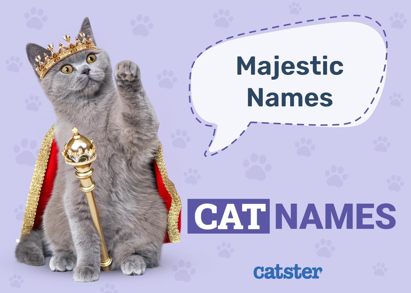 300 Majestic Cat Names: Great Ideas for Your Elegant Cat