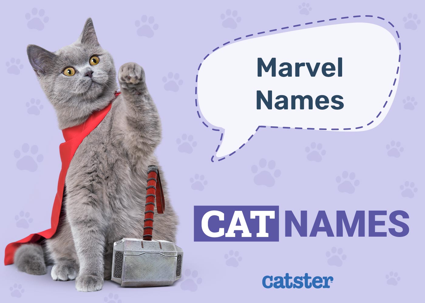 175 Marvel Cat Names: Great Names for Your Super Kitty