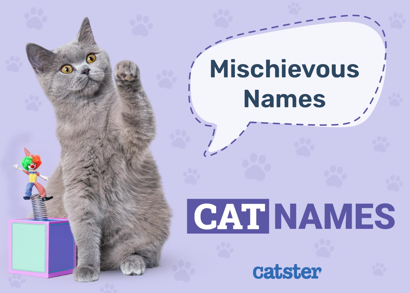 110 Mischievous Cat Names: Great Ideas for your Clever Cat