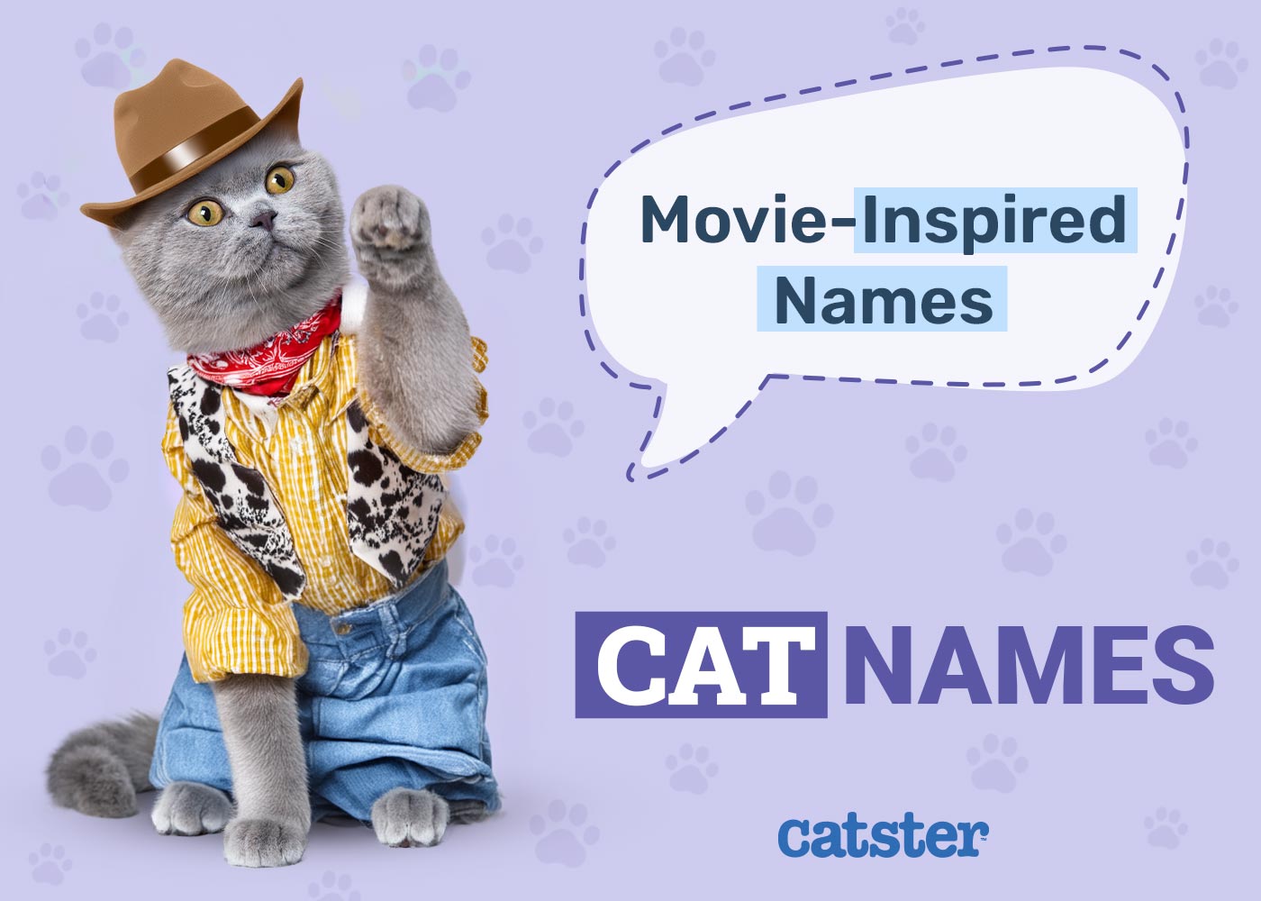 100+ Movie-Inspired Cat Names - Disney, Famous, & Colored Cat Names