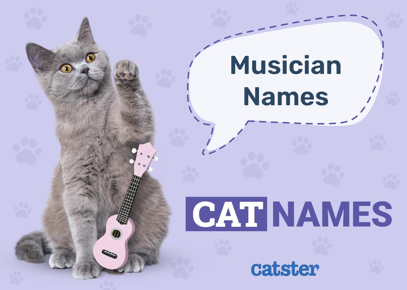 600 Musical Cat Names: Groovy Ideas for Your Kitty