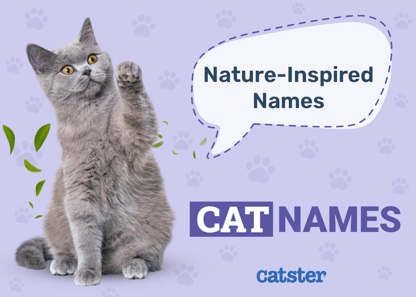 135 Nature-Inspired Cat Names for Your Wild & Free Pet