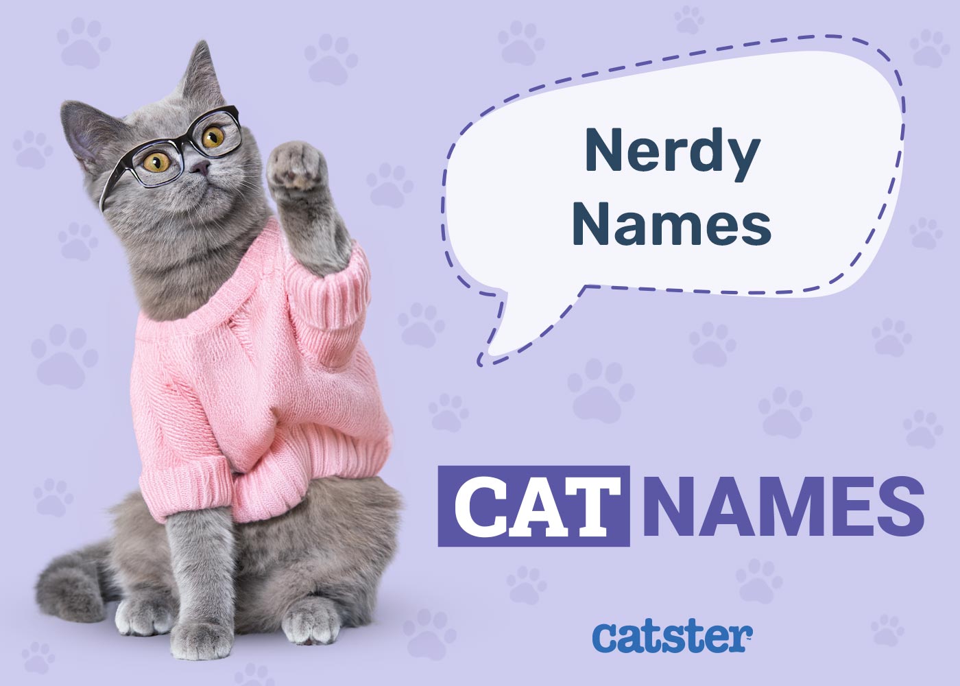 150+ Nerdy Cat Names: Great Ideas for Your Geeky Cat