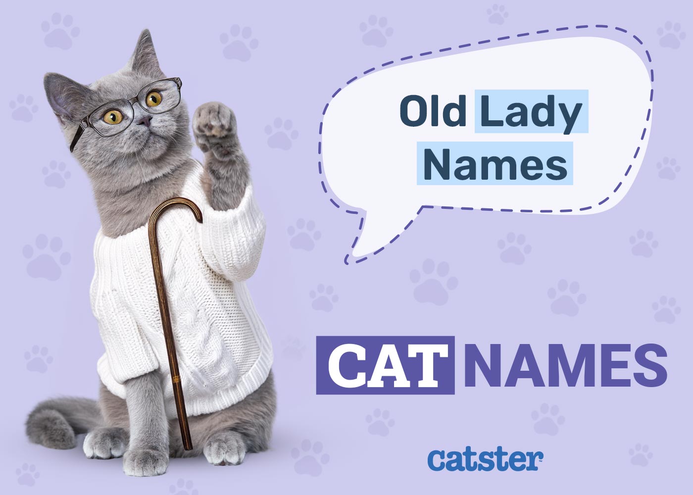 100+ Old Lady Names for Cats: Perfect Ideas for Your Adorable Pet