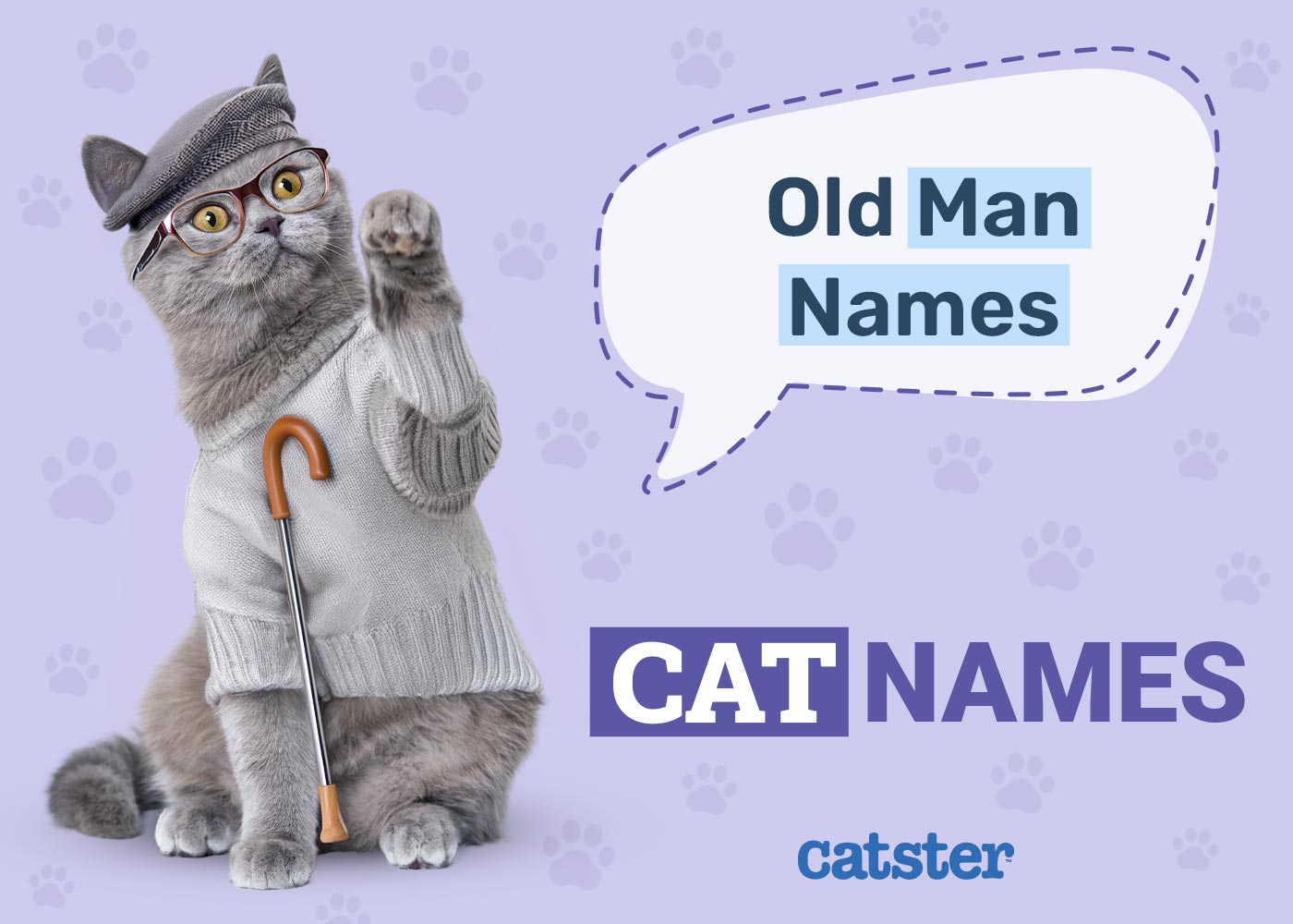 150+ Old Man Names for Cats: Great Ideas for Your Adorable Cat
