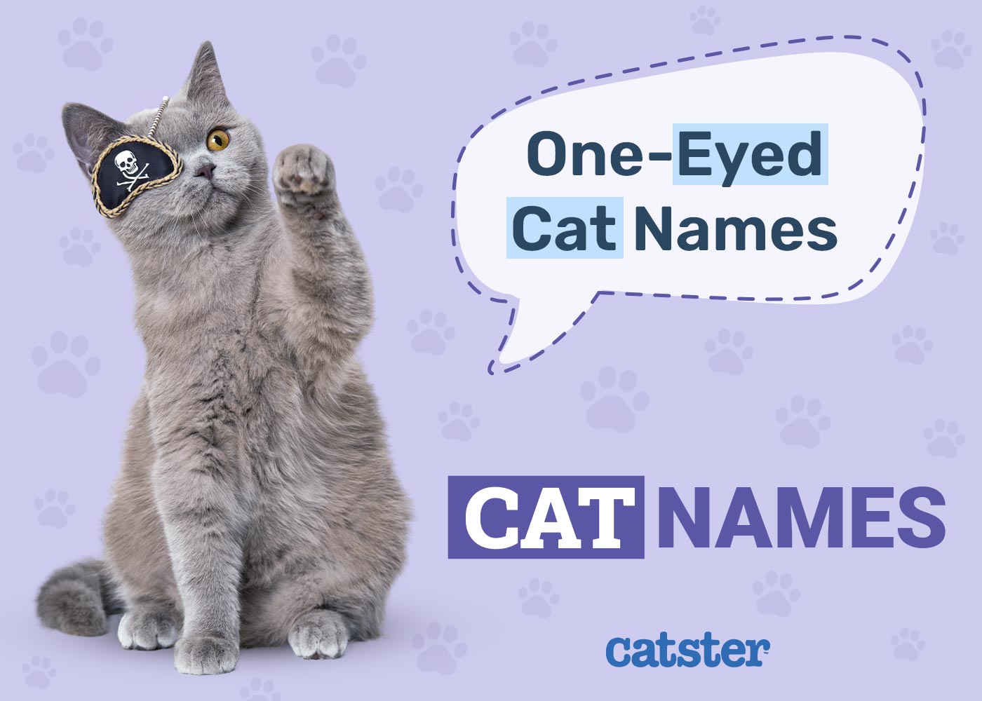 550+ One-Eyed Cat Names: Great Ideas for Your Great Cat