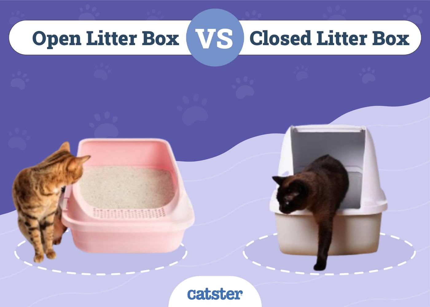 Open vs. Closed Litter Box: Main Differences, Pros & Cons