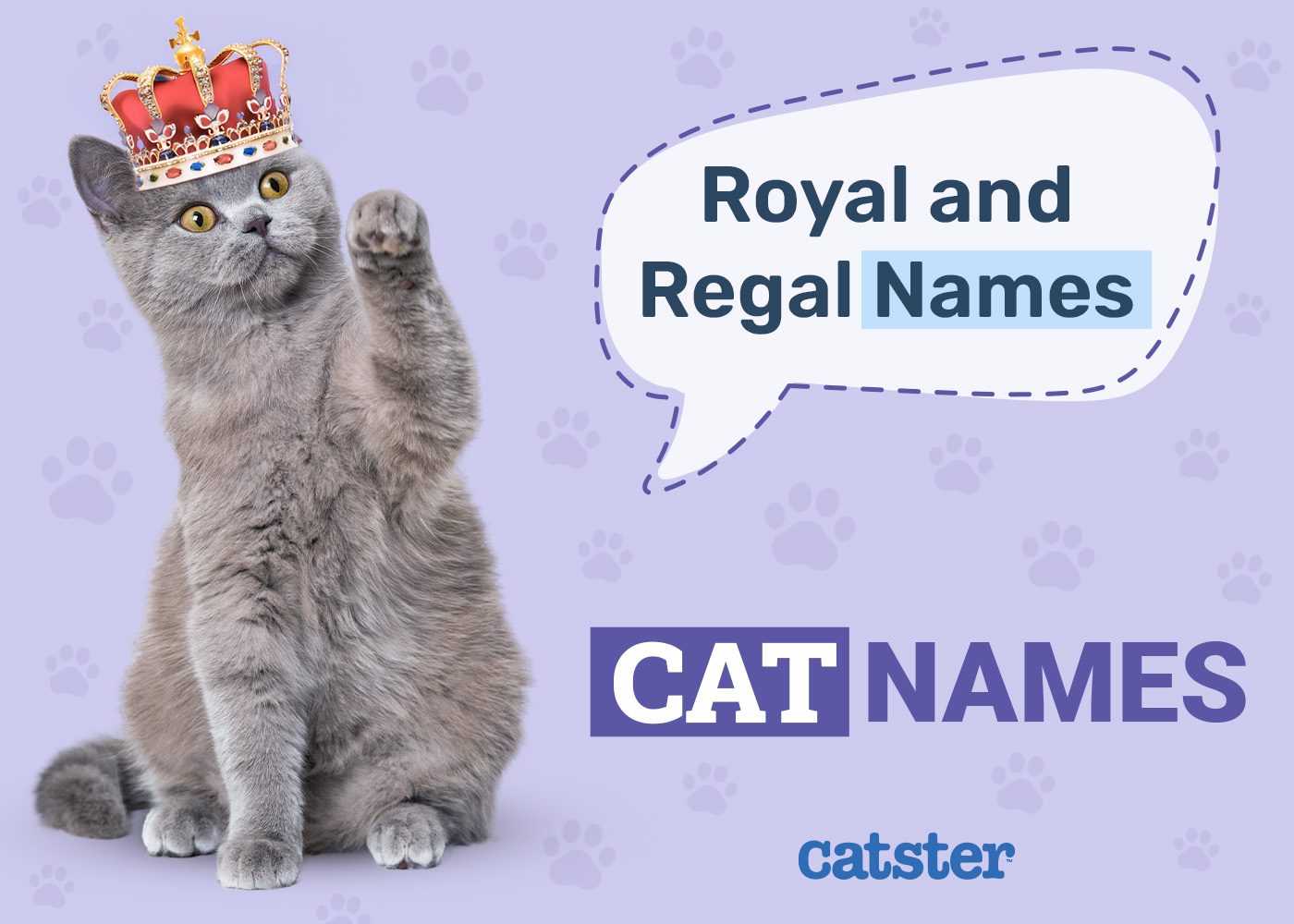 225 Royal & Regal Cat Names: Great Ideas for Your Noble Cat