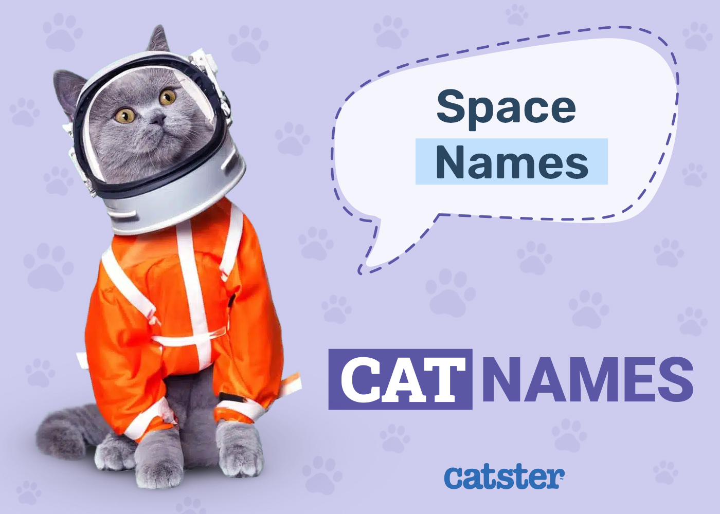 125+ Space Names for Cats: Out of This World Ideas for Your Interstellar Cat