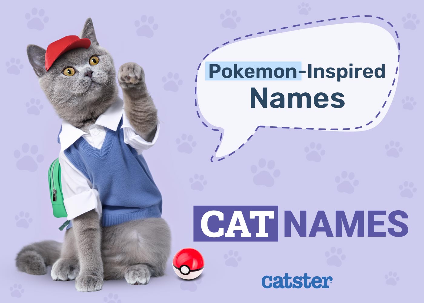 100+ Pokémon Inspired Cat Names: Ideas for Unique & Adorable Cats