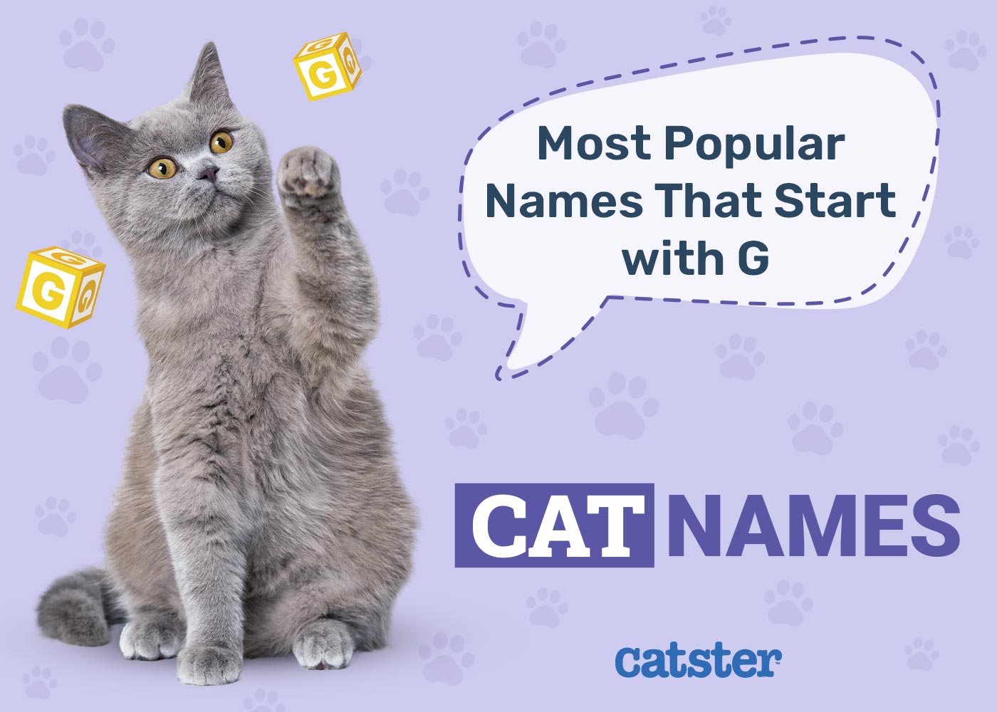 Most Popular Cat Names That Start With G in 2026