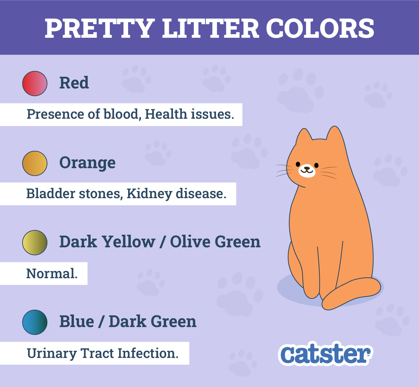 Catster_Pretty Litter Colors Infographic_v1-4_Dec 6 2024