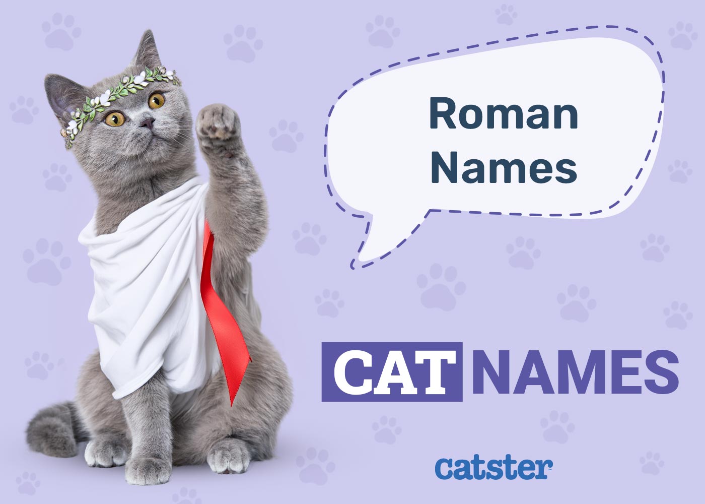 150 Roman Cat Names: Powerful Names Apt for an Emperor