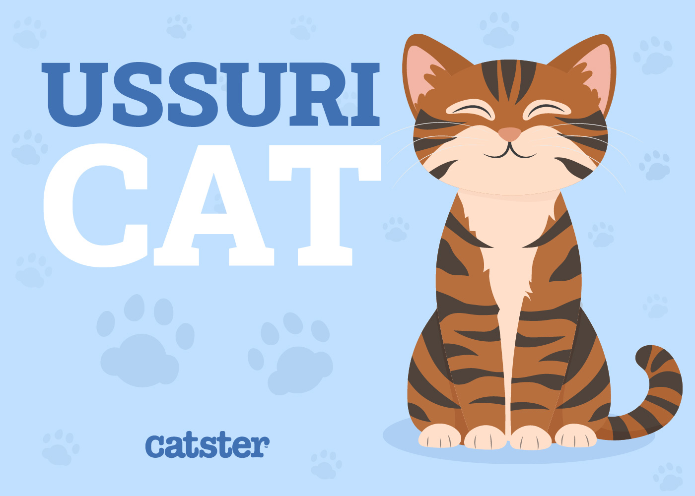 Ussuri Cat Breed Info: Pictures, Traits & Facts