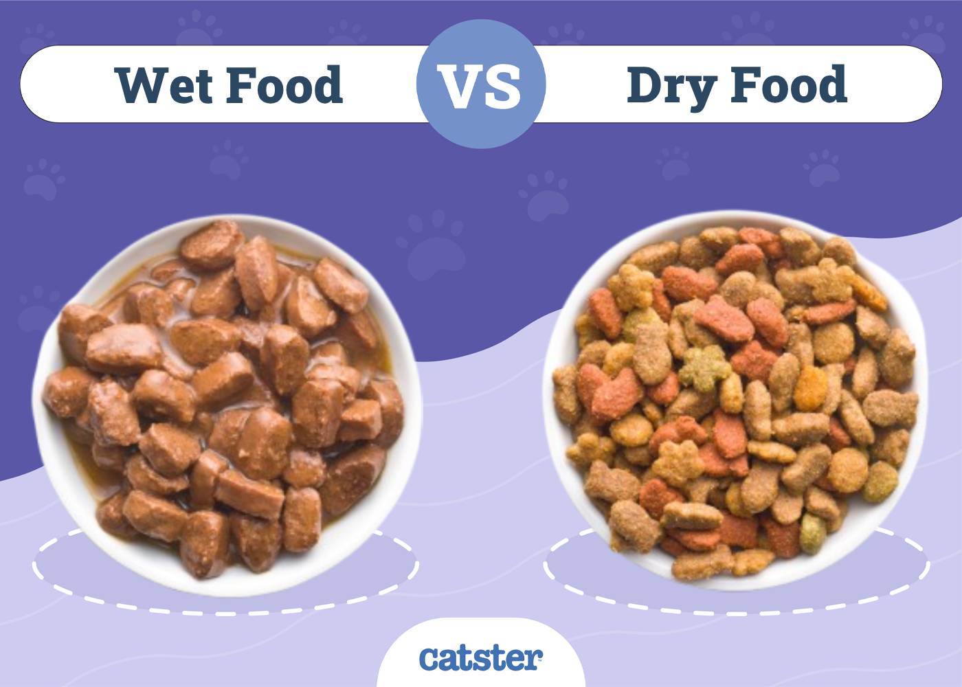 Wet vs. Dry Cat Food: Vet-Approved Facts & Key Differences