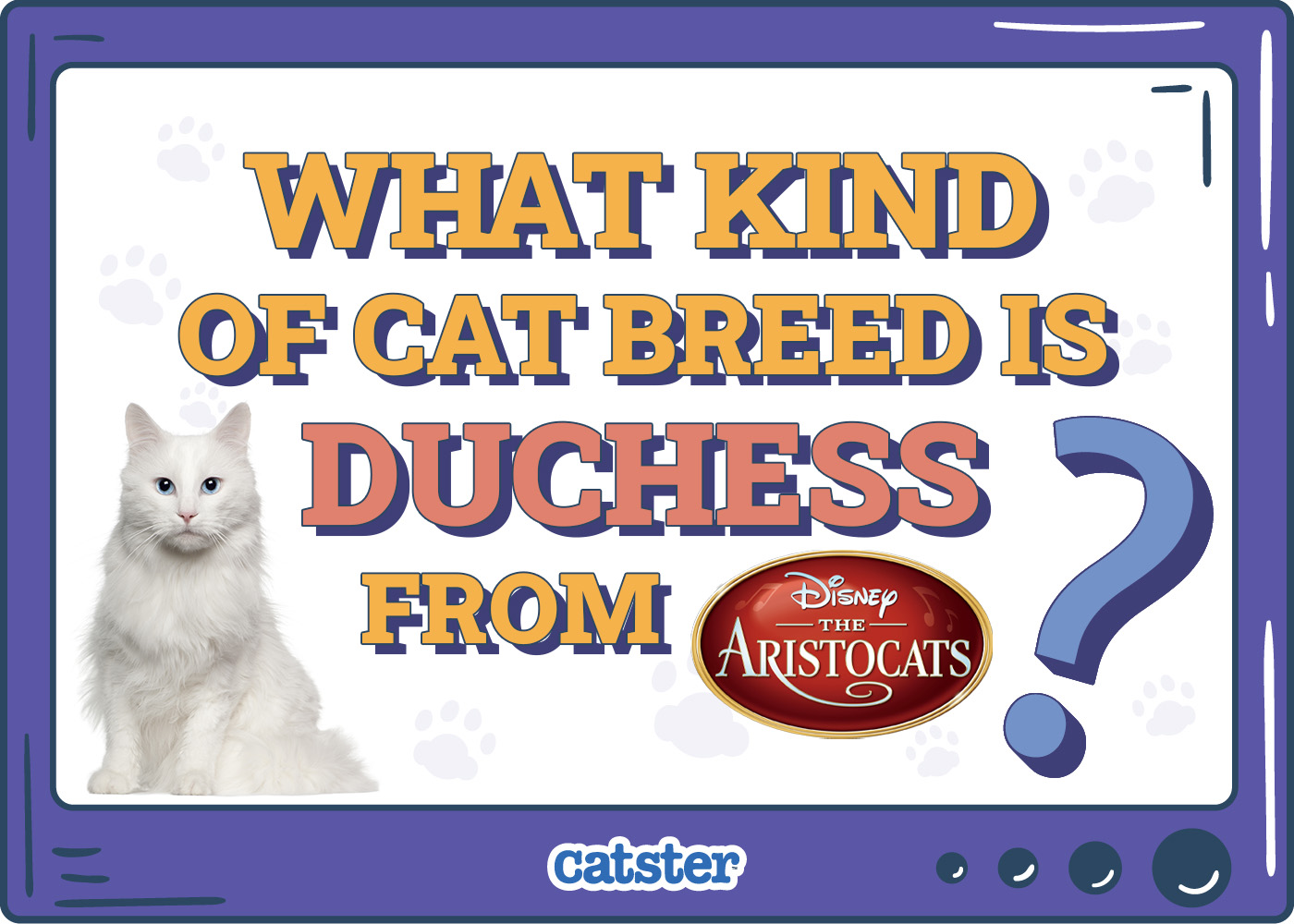 What Kind of Cat Breed Is Duchess from The Aristocats? Disney Felines Explained