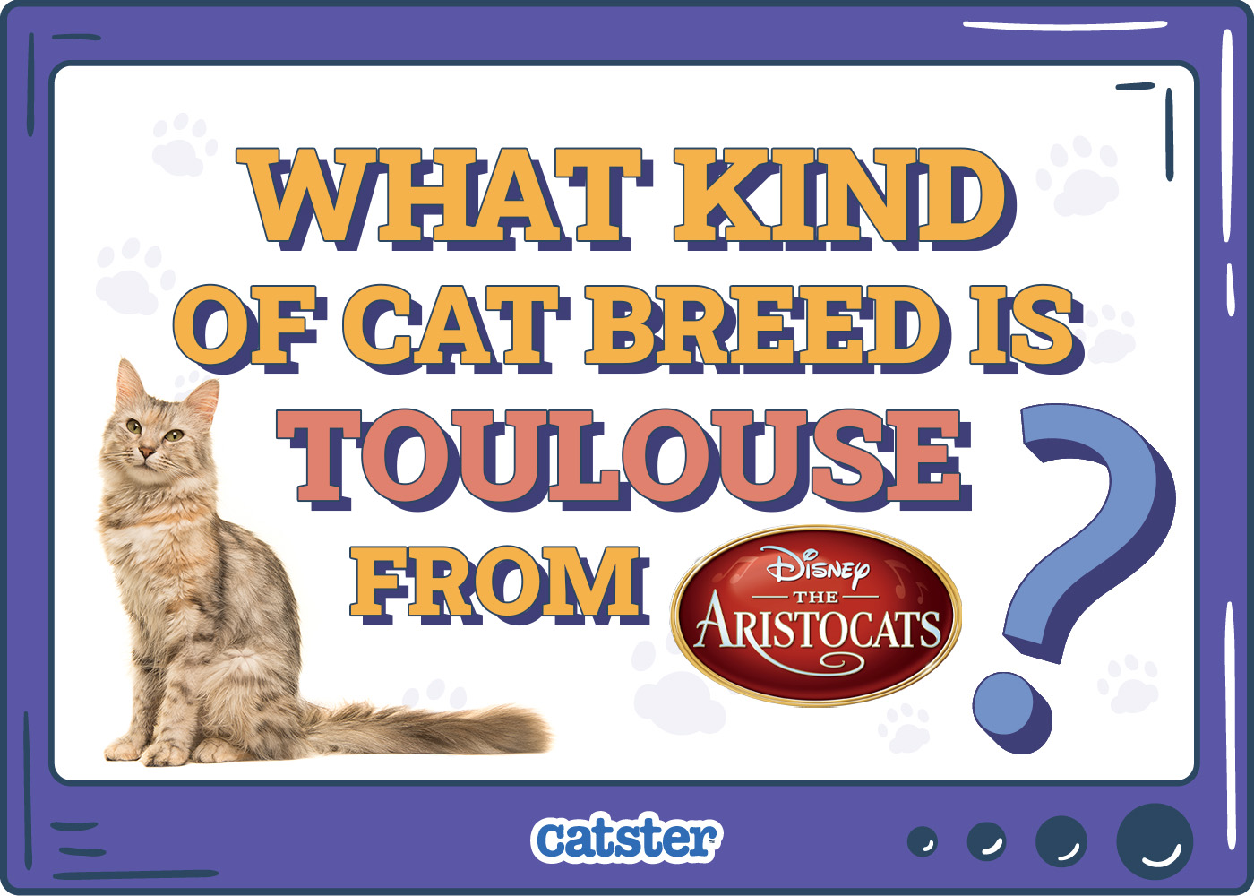 What Kind of Cat Breed is Toulouse from The Aristocats? Disney Felines Explained
