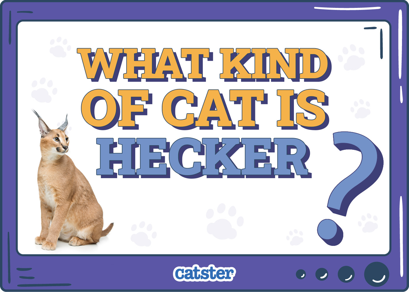 What Kind of Cat Is Hecker? Famous Cat Breeds Revealed