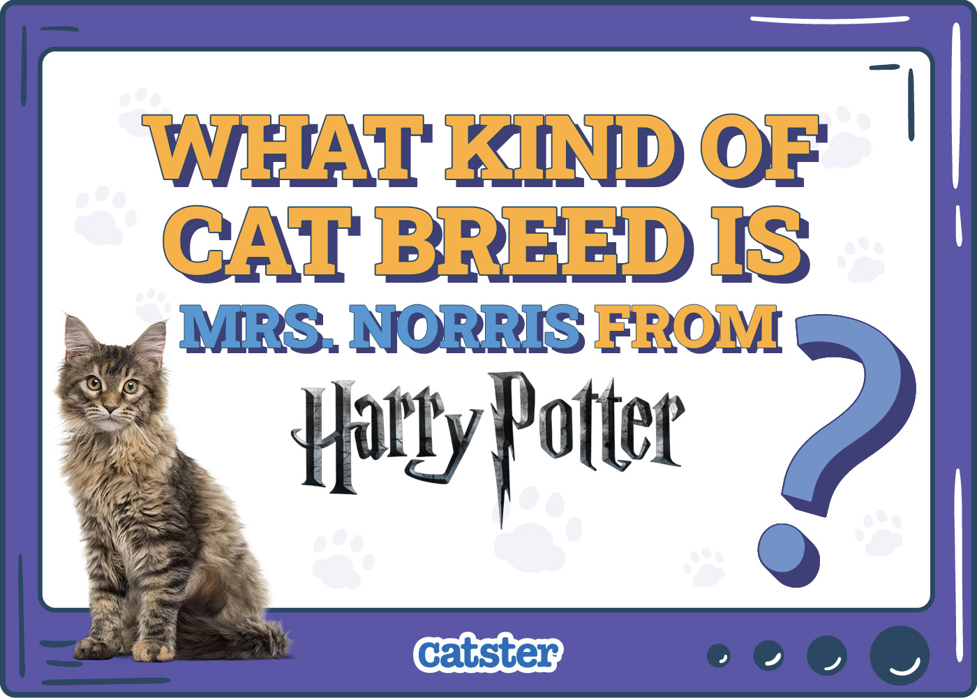 What Kind of Cat Breed Is Mrs. Norris From Harry Potter? Interesting Movie Facts
