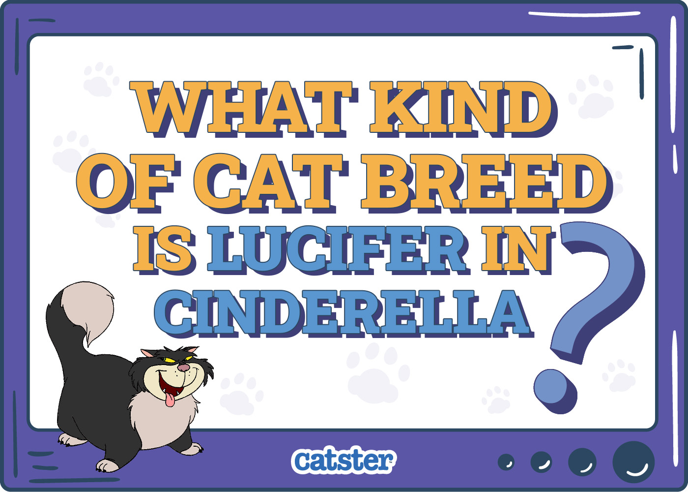 What Kind of Cat Breed Is Lucifer From Cinderella? Facts & Pictures