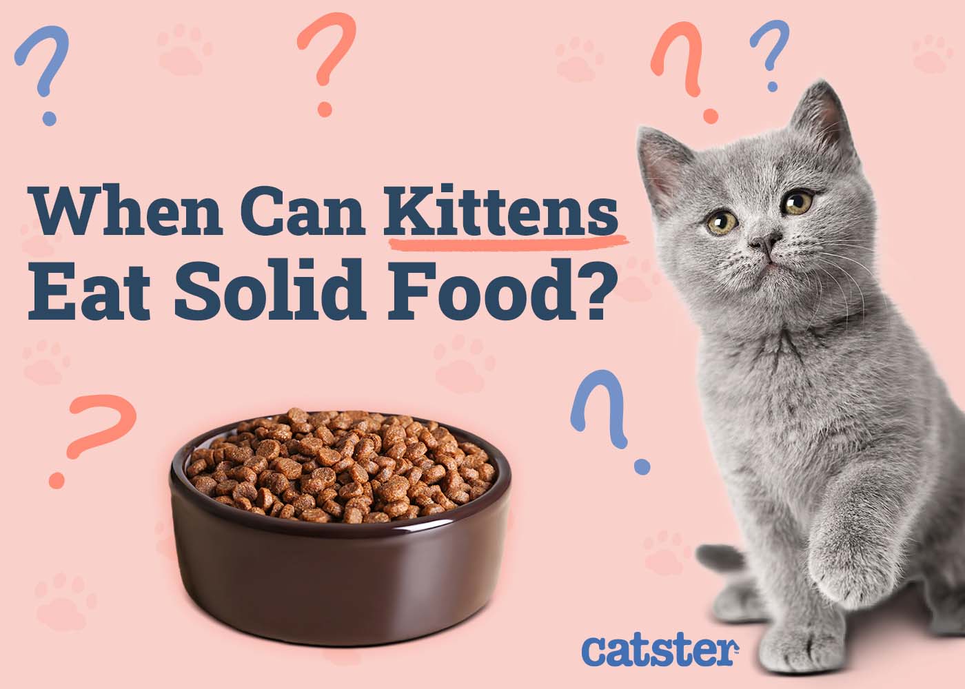 When Can Kittens Eat Solid Food? Vet-Approved Facts & FAQ