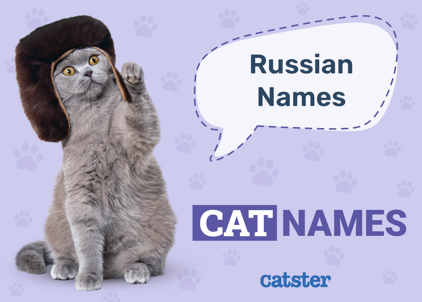Russian Cat Names: 300+ Great Names for Your Proud Cat
