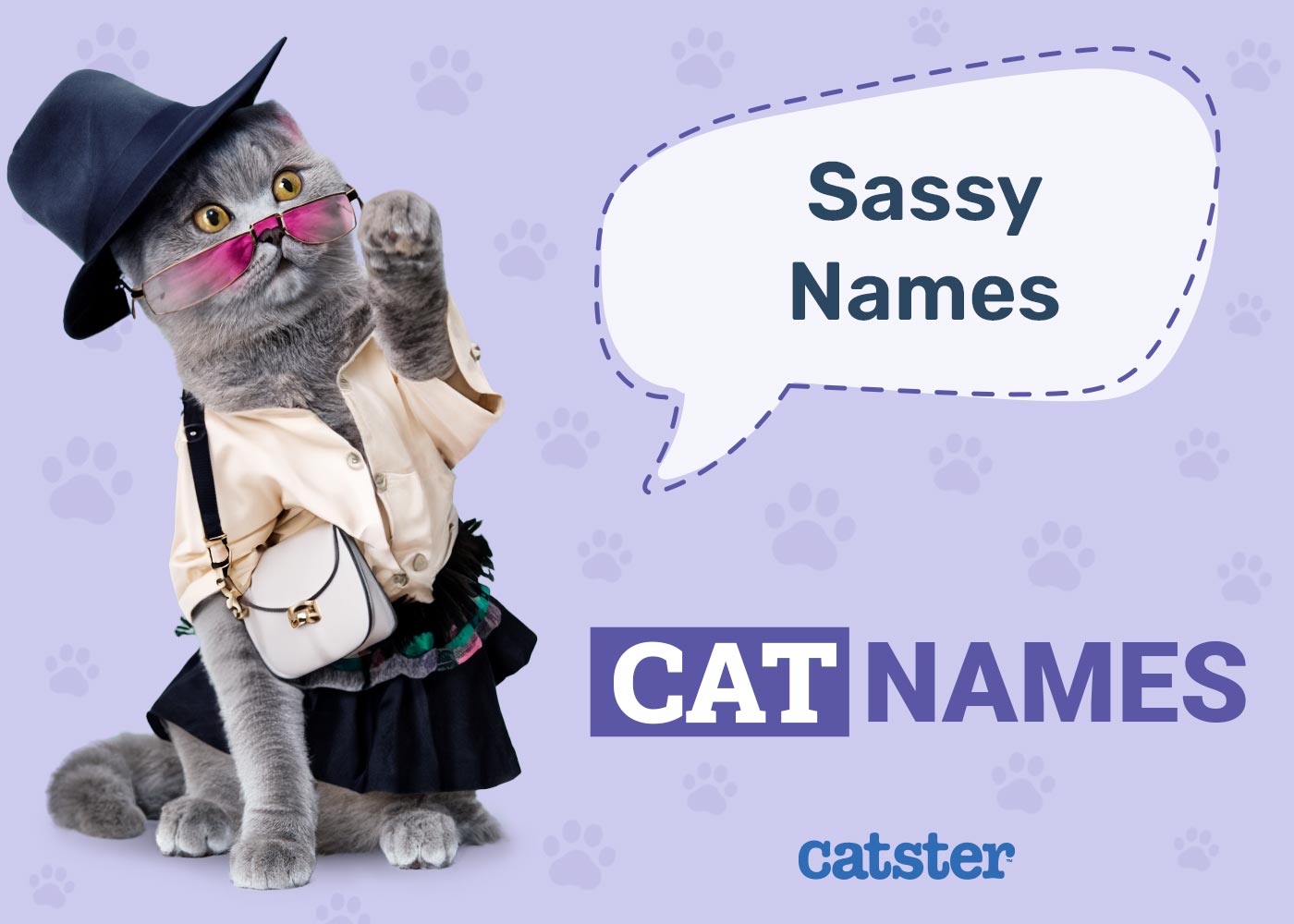 100+ Sassy Cat Names: Ideas for Bold & Feisty Cats