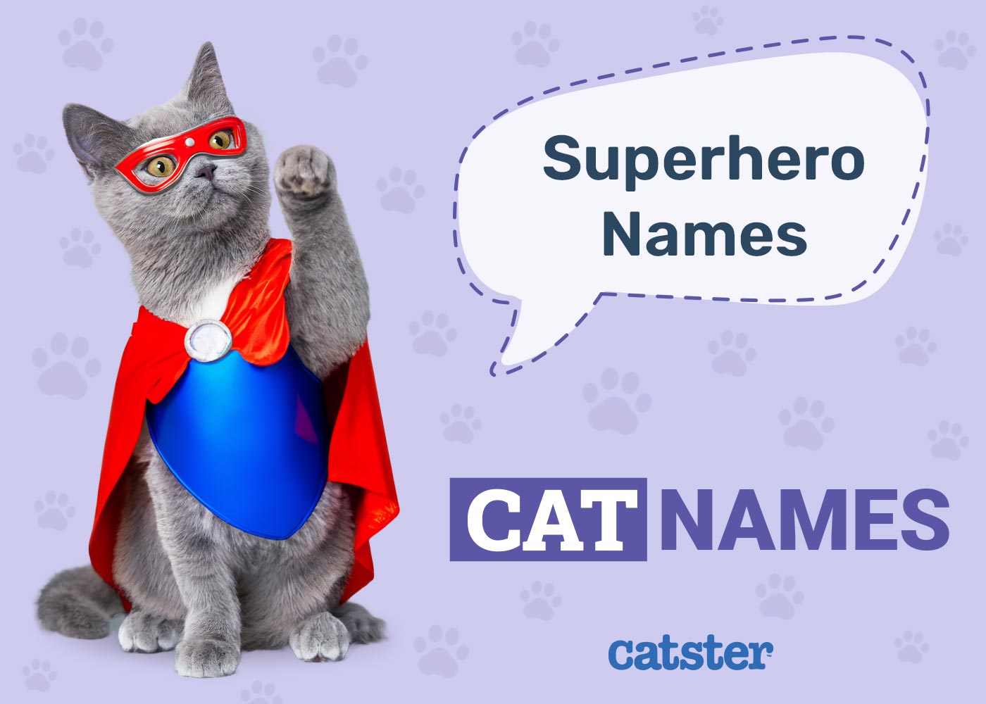 100+ Superhero Cat Names: Ideas for Active & Daring Cats