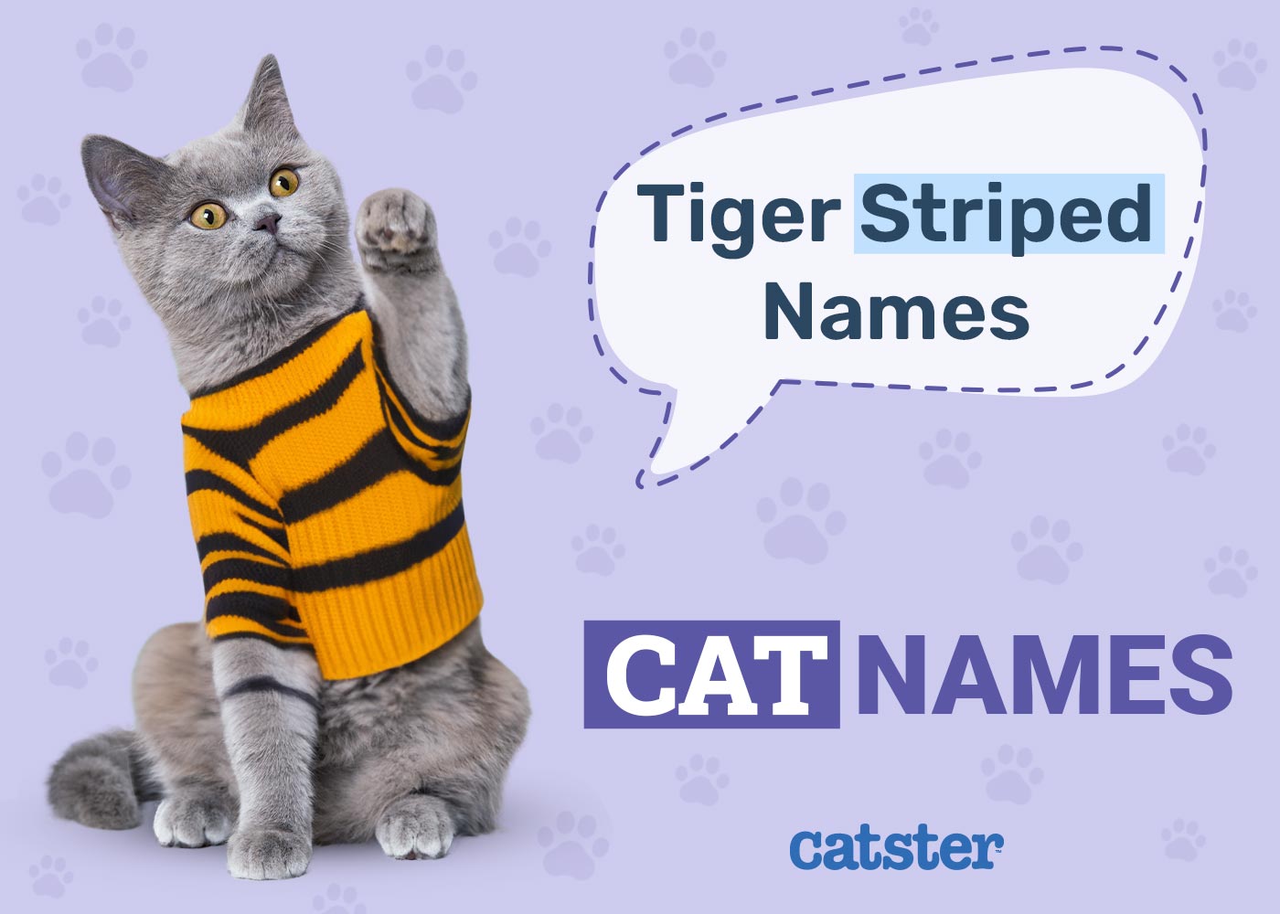 200 Tiger-Striped Cat Names: Ideas for Unique & Exotic Cats