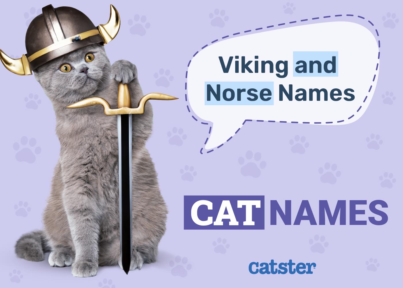 400 Viking & Norse Cat Names: Great Ideas for Strong Cats