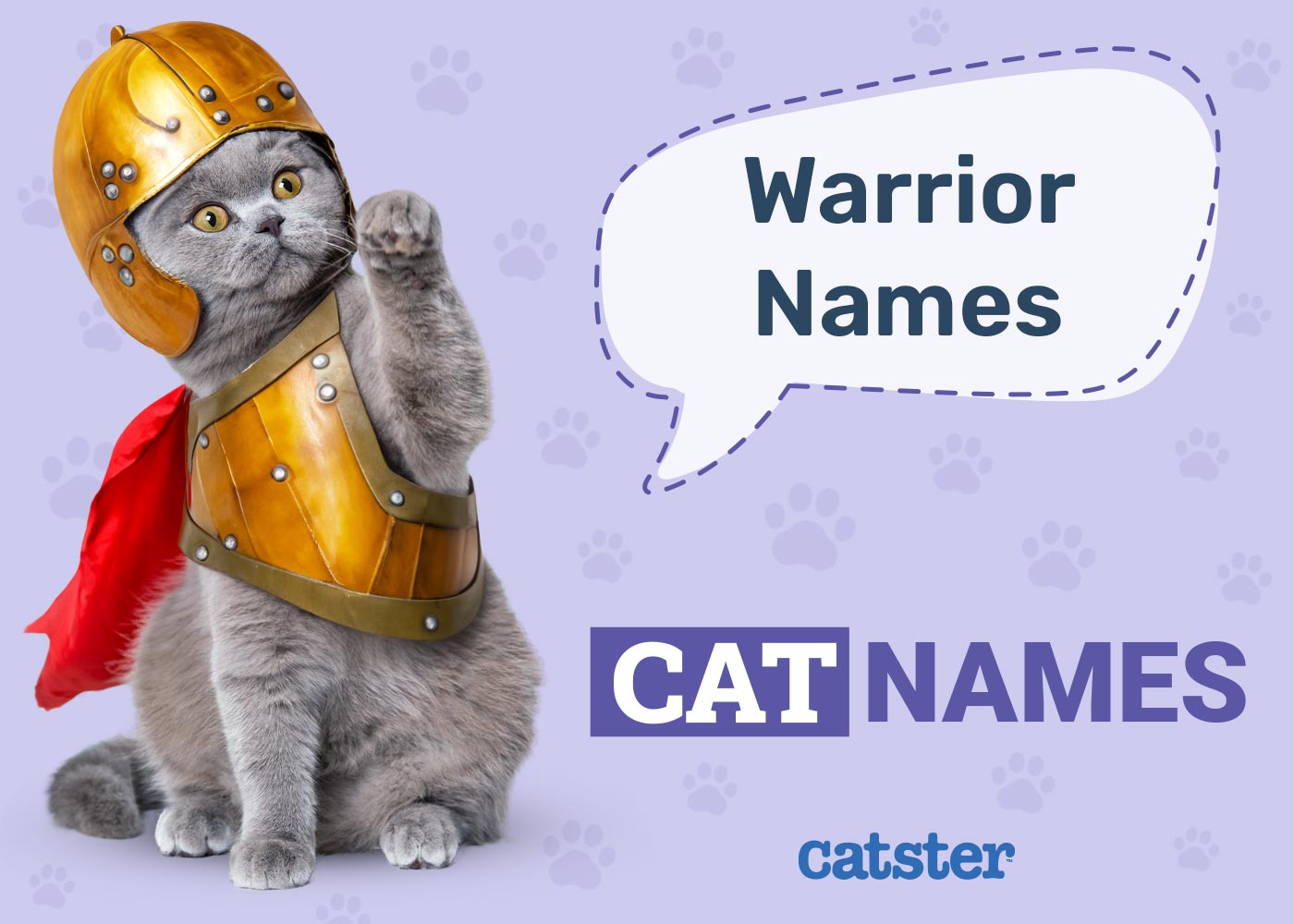350+ Warrior Cat Names: Ideas for Your Strong Cat