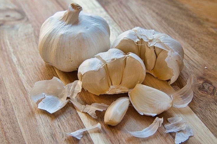 Garlic Toxicity in Cats: Vet-Approved Signs, Care Tips & FAQ