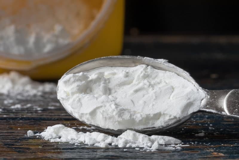 Does Cornstarch Kill Fleas on Cats? Vet Reviewed Effectiveness & Alternatives