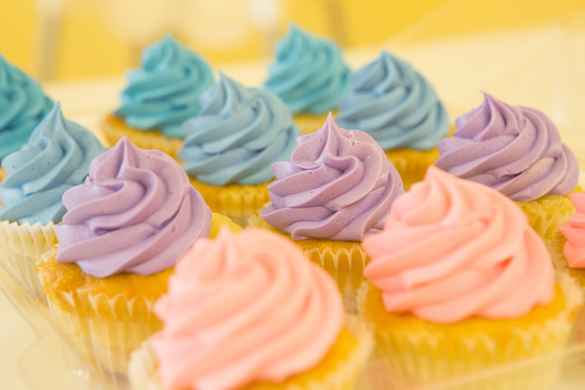 Do Cats Like the Taste of Sweet Things? Vet-Approved Facts & Safety Tips