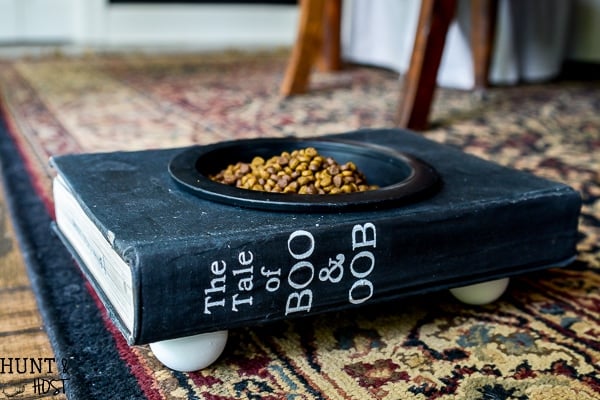 10 DIY Cat Feeding Stations You Can Create at Home (With Pictures)