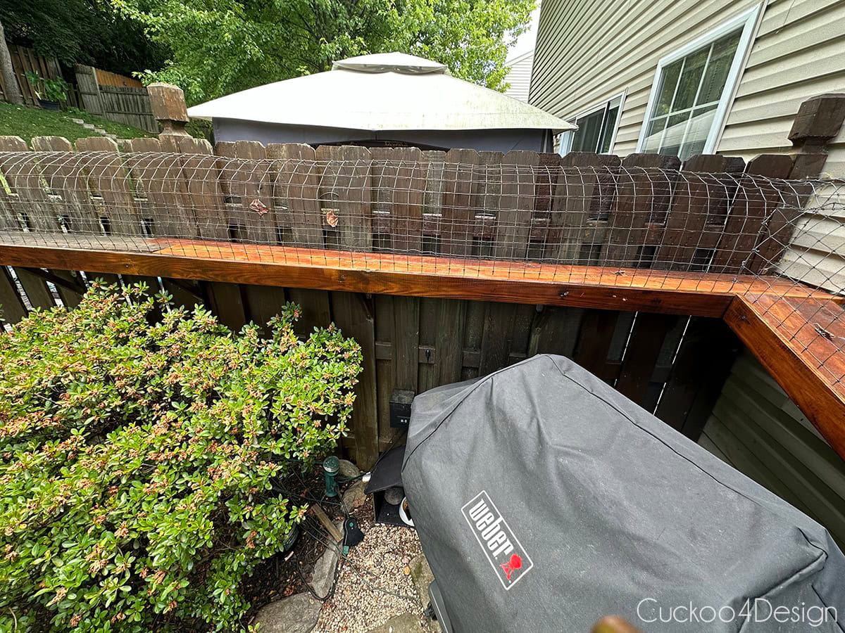 DIY cat catio