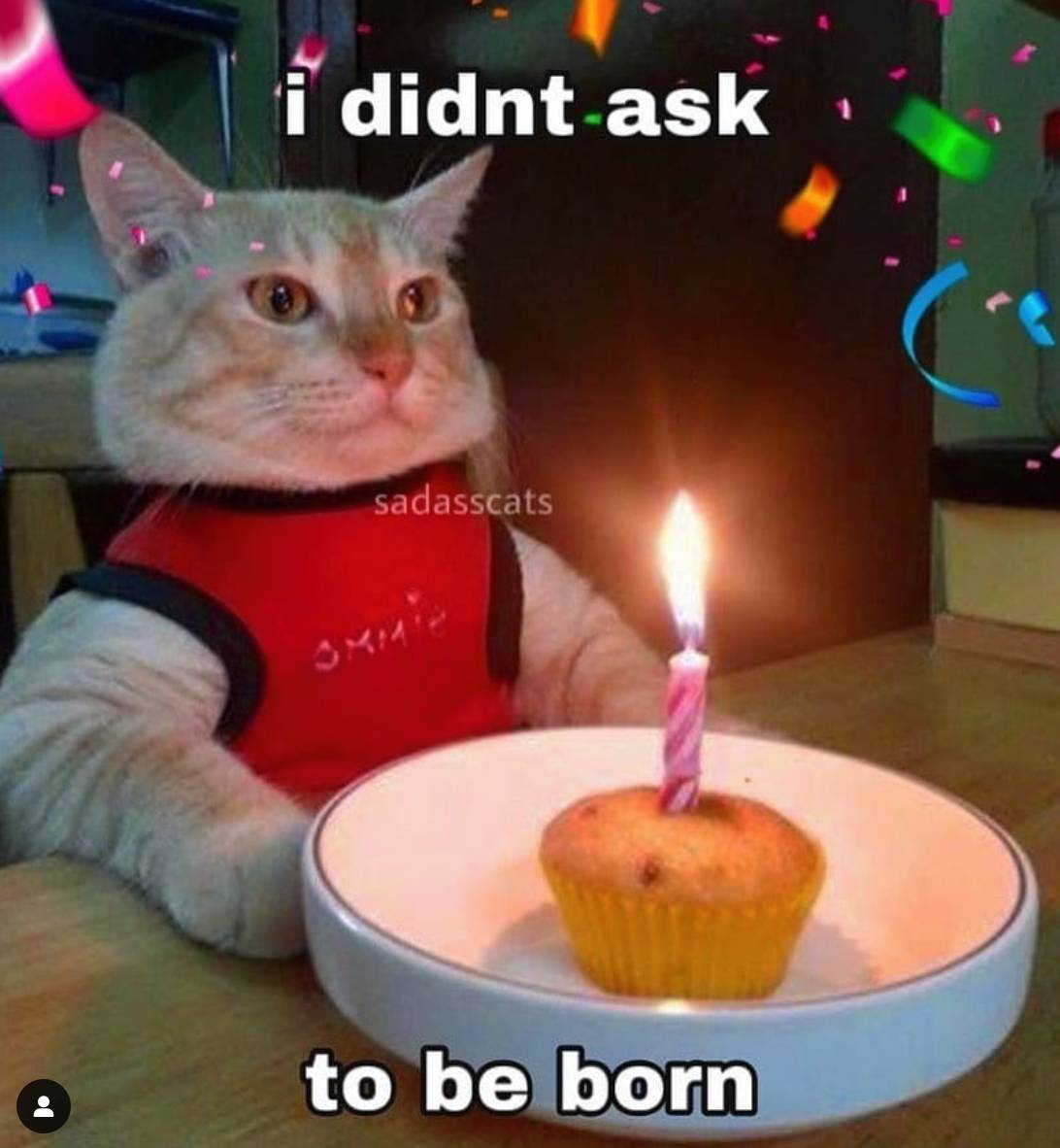 Didn’t Ask to Be Born