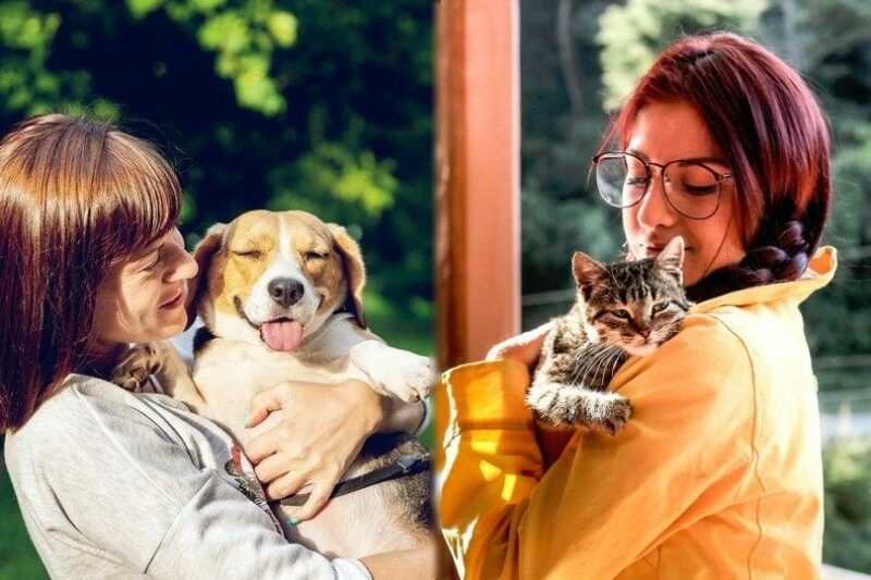 Are Cat Owners Smarter Than Dog People? Facts & FAQ