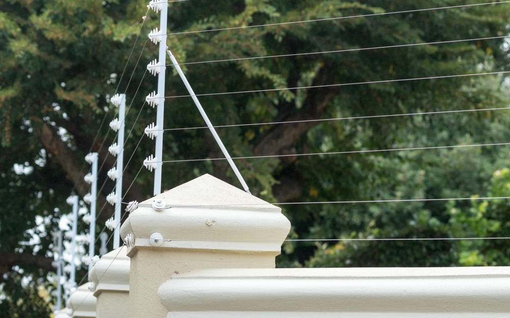 Do Electric Fences Work On Cats? Vet Approved Advice
