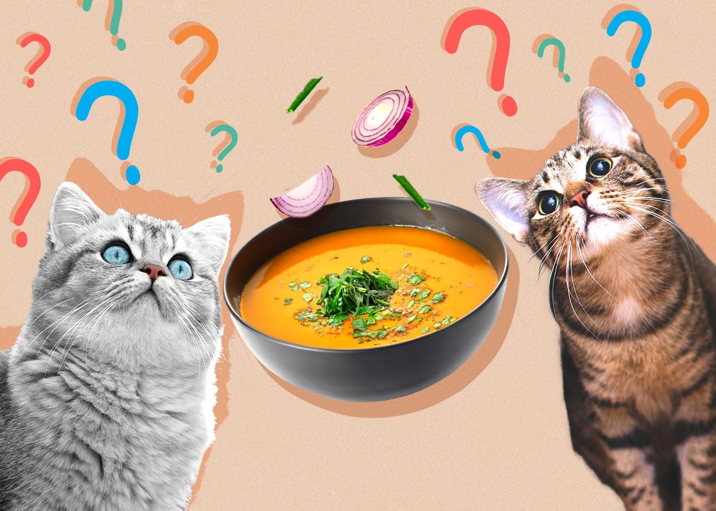 Can Cats Eat Soup? Vet-Reviewed Facts & FAQ