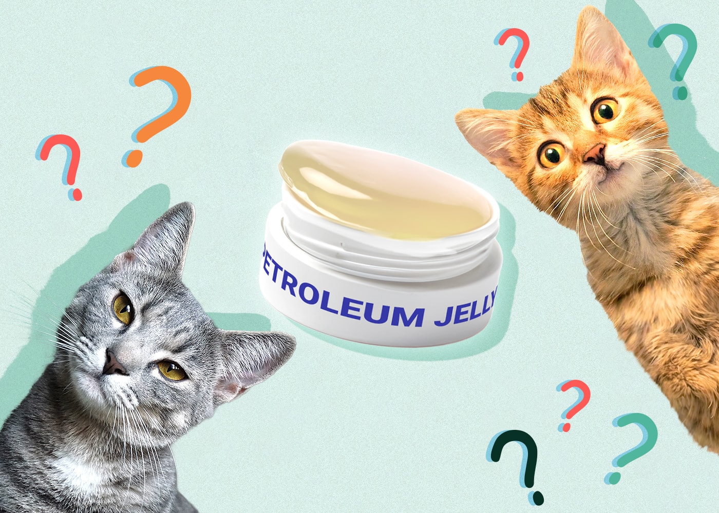 Vaseline for Cat Hairballs? What Vets Want You to Know First