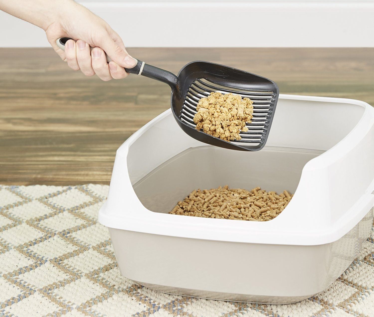 Pine Cat Litter: Pros, Cons, & Things to Know