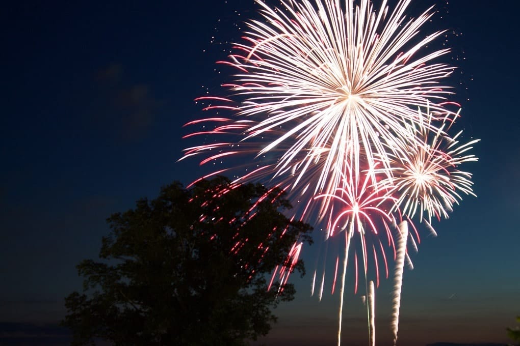 How to Calm Your Cat During Fireworks: 6 Vet-Approved Tips & Tricks