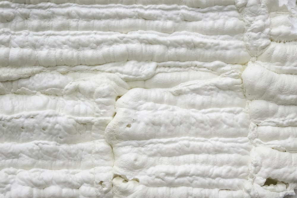 Will Insulation Hurt My Cat If They Touch It? Vet-Reviewed Prevention Tips & Safety Info