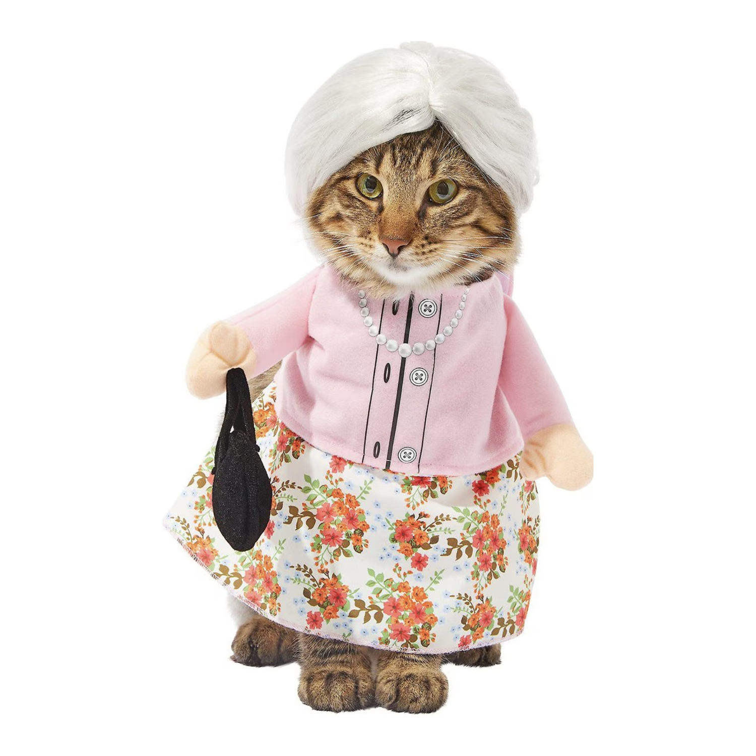 Frisco Front Walking Granny Dog &amp; Cat Costume