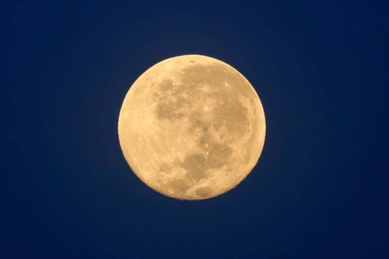 Does the Full Moon Affect Cats? What Science Says